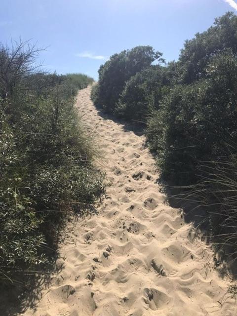 Duinstrand 巴勒哈姆斯泰德 外观 照片